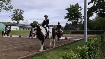 Bild 1 - Videos